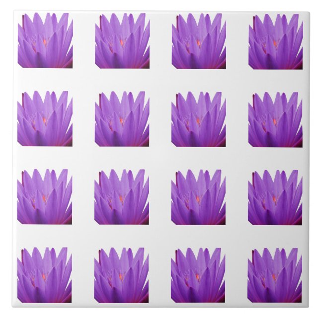 Tulip Mönster Kakelplatta (Framsidan)
