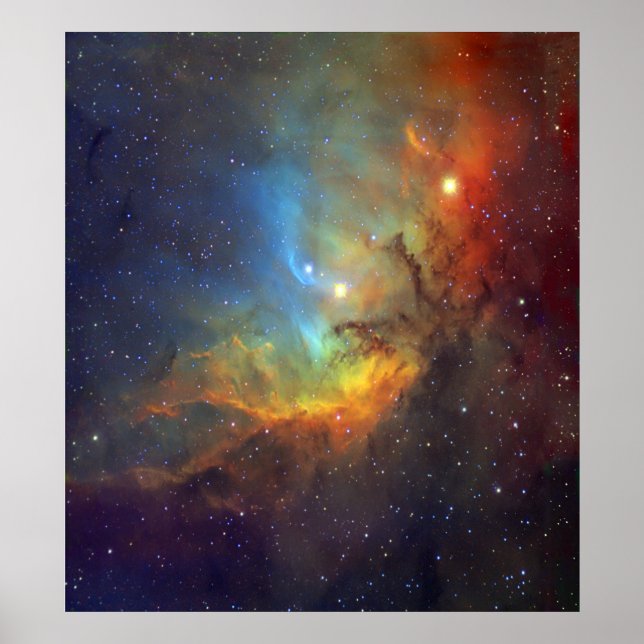 Tulip Nebula SH2-101 NASA Poster (Framsidan)