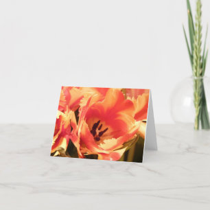 Tulip Note-kort Kort