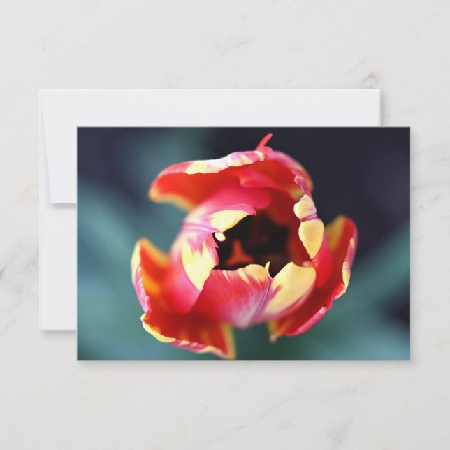 Tulip Notecard Anteckningskort (Framsida)