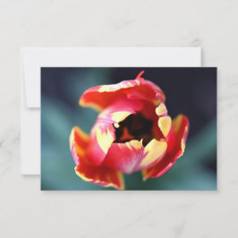 Tulip Notecard Anteckningskort