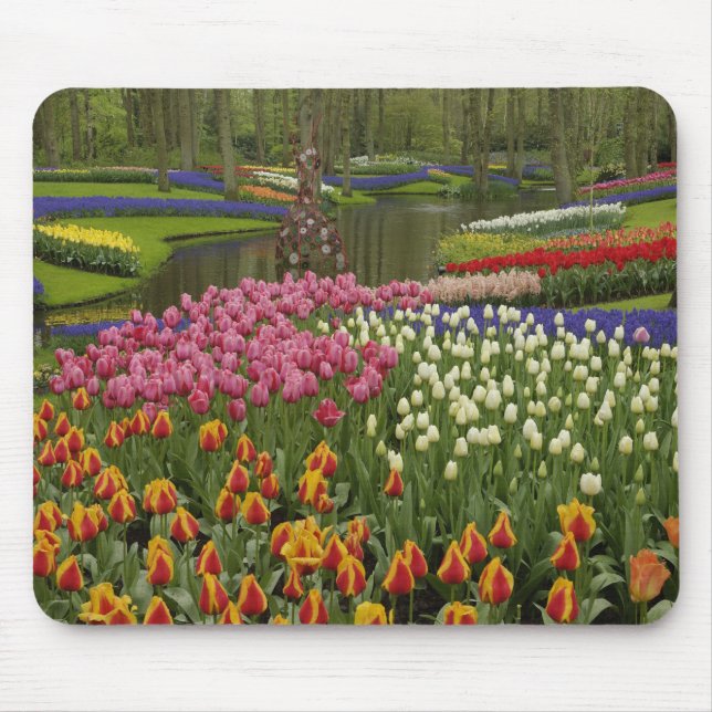 Tulip- och hyacint-trädgård, Keukenhof Gardens Musmatta (Framsidan)