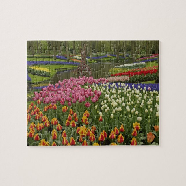 Tulip- och hyacint-trädgård, Keukenhof Gardens Pussel (Horisontell)