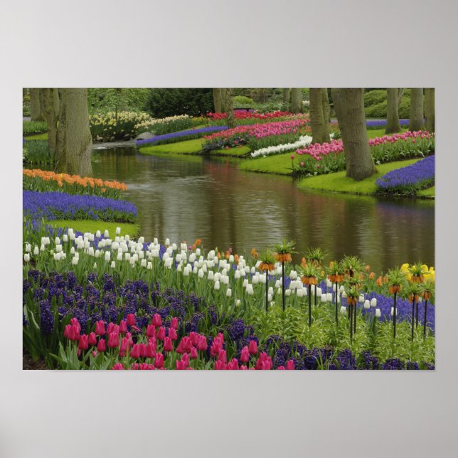 Tulip- och hyacinträdgård, Keukenhof Gardens, 2 Poster (Framsidan)
