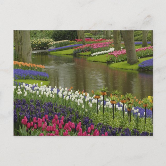 Tulip- och hyacinträdgård, Keukenhof Gardens, 2 Vykort (Framsida)