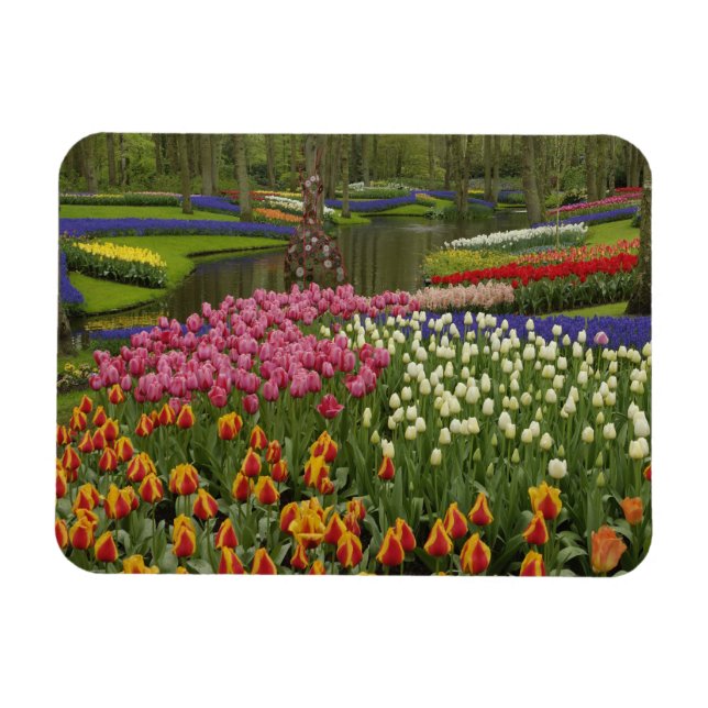 Tulip- och hyacinträdgård, Keukenhof Gardens Magnet (Horisontell)