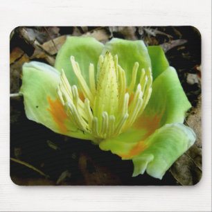 Tulip Poplar Flower Mousepad Musmatta