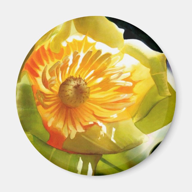 "Tulip Poplar" Gult Flower Watercolor Magnet (Framsidan)