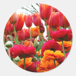 Tulip Poppy Dance Runt Klistermärke