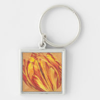 Tulip Power I