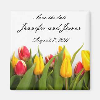 Tulip Spara datum magneter