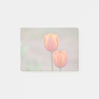 Tulip Sticky Notes Post-it Block