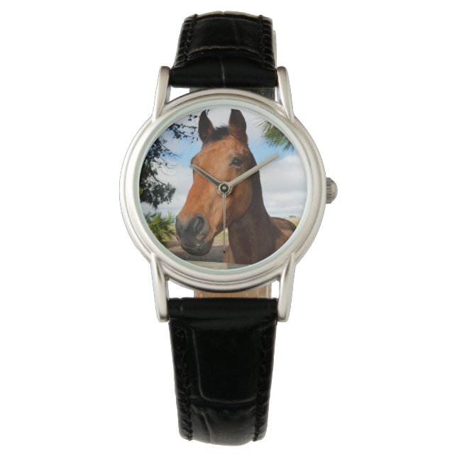 Tulip the Brown Bay Horse Armbandsur (Framsida)