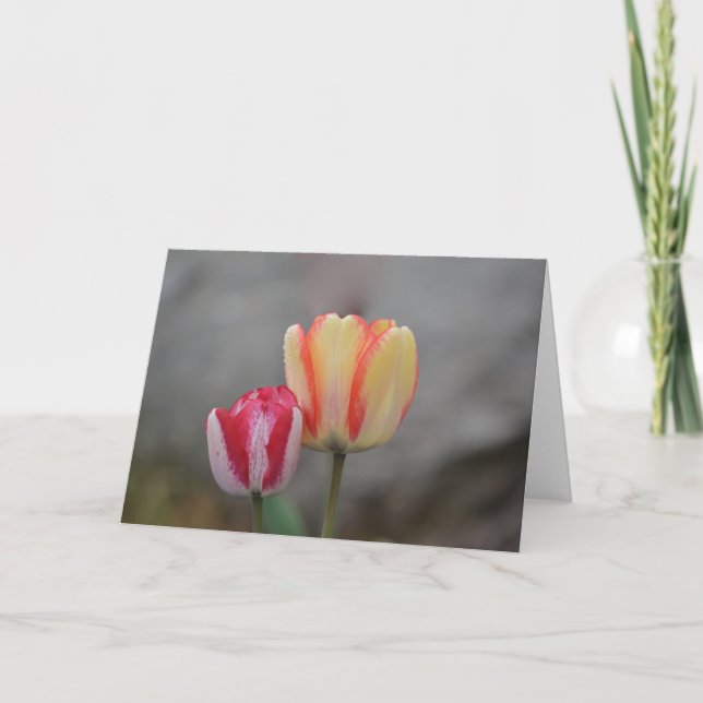 Tulip Time Note Card Kort (Framsida)