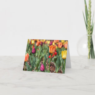 Tulip Time Note-kort Kort