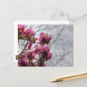 Tulip Träd Blommars vykort