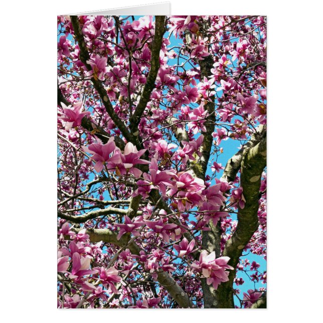 Tulip Träd Hälsningskort (Framsidan)