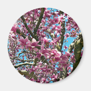 Tulip Träd Magnet