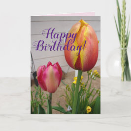 Tulip Tulips Red Rosa Flower Blommigt Birday Card Kort