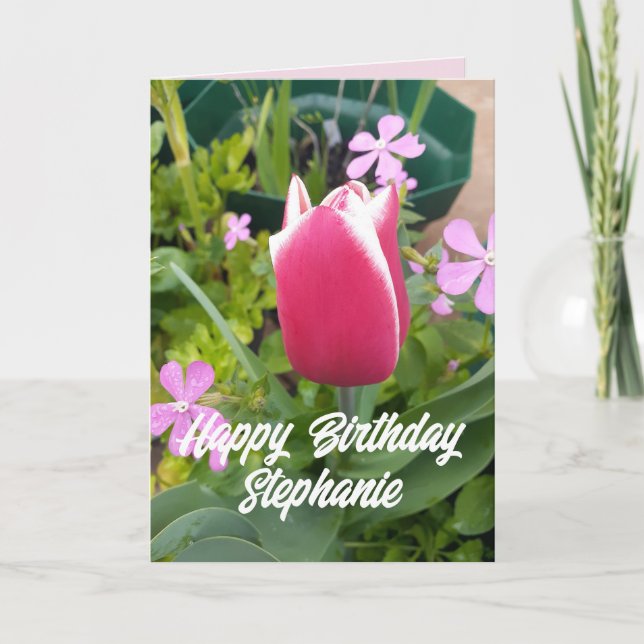 Tulip Tulips Red Rosa Flower Blommigt Birday Card Kort (Framsida)