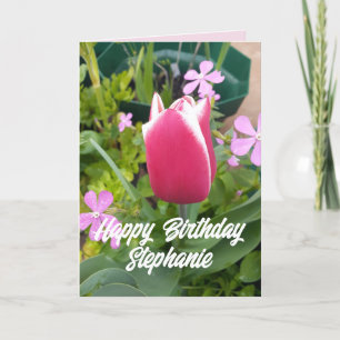 Tulip Tulips Red Rosa Flower Blommigt Birday Card Kort