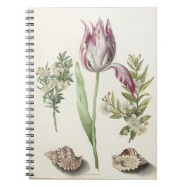 Tulip, två Grenar av Myrtle Postcard Anteckningsbok