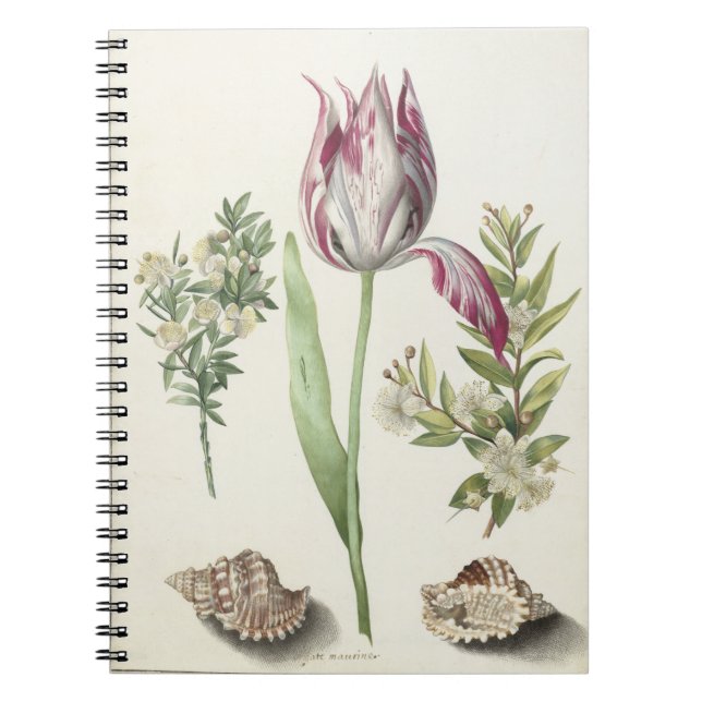 Tulip, två Grenar av Myrtle Postcard Anteckningsbok (Framsidan)