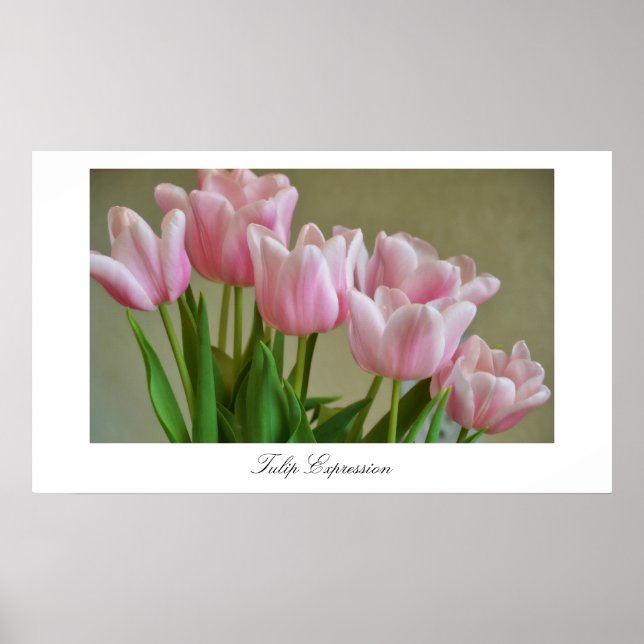 Tulip-uttryck Poster (Framsidan)