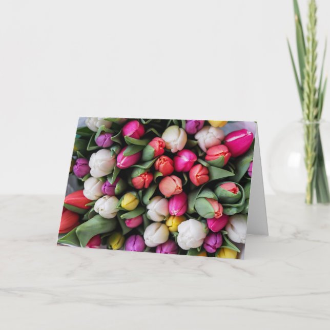 Tulip Vår Hälsning Kort (Framsida)
