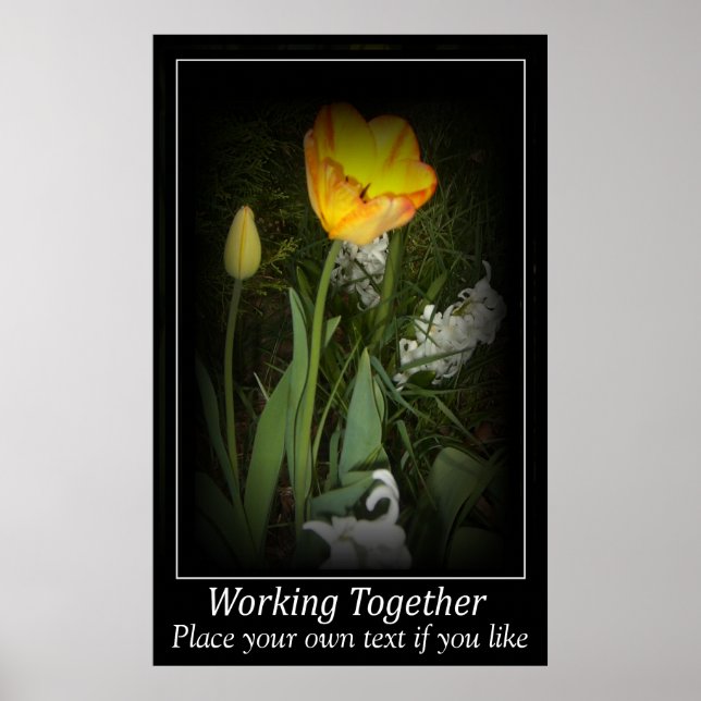 Tulip vår-trädgård som arbetar tillsammans Motivat Poster (Framsidan)