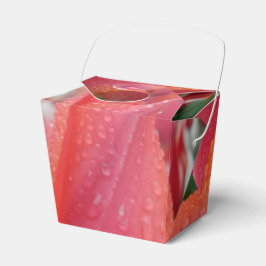 Tulip Vatten tappar blomman Ta ut förmånslåda Presentaskar