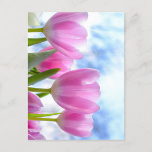 Tulip Vykort
