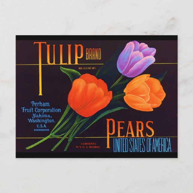 Tulip Vykort (Framsida)