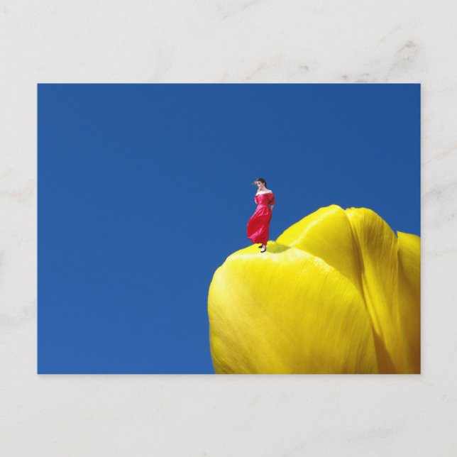 Tulip Vykort (Framsida)