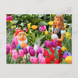 Tulip [vykort] vykort