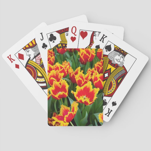 Tulipa Fabio, Keukenhof, Nederländerna Casinokort (Baksidan)
