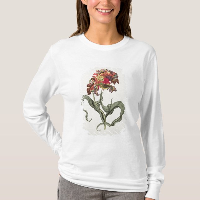Tulipa Monstrosa Rubra Maior från 'Phythanthoza Ic Tee (Framsida)