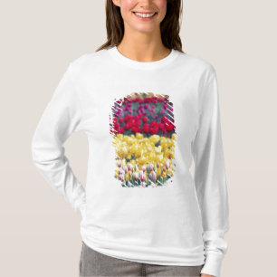 Tulipanutställningsträdgård i Skagit-dalen, T Shirt
