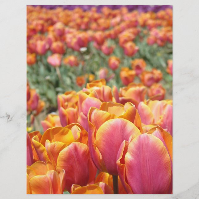 Tulipblommor Scrapbook papper Scrapbooking (Framsida)
