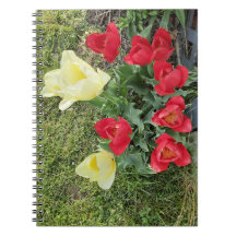 Tuliper