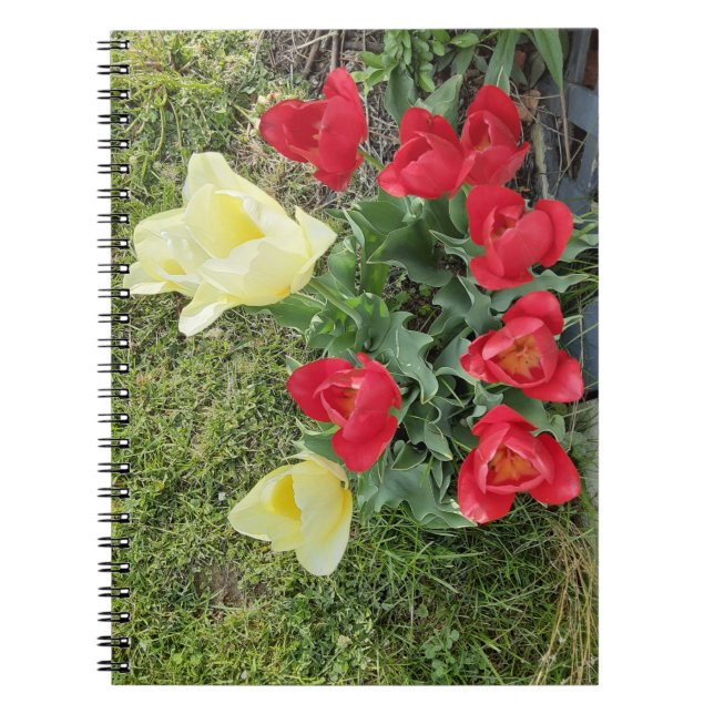 Tuliper Anteckningsbok (Framsidan)