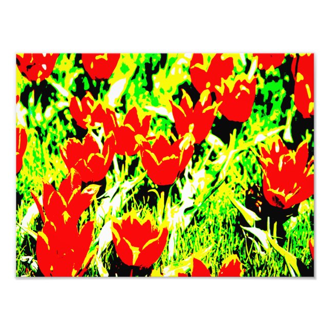 Tuliper Fototryck (Framsidan)