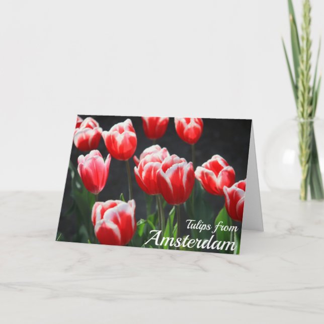 Tuliper från Amsterdam Kort (Framsida)
