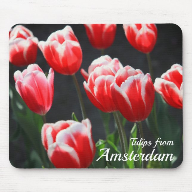 Tuliper från Amsterdam Musmatta (Framsidan)