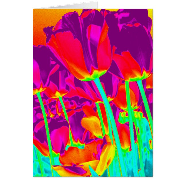 Tuliper Hälsningskort (Framsidan)