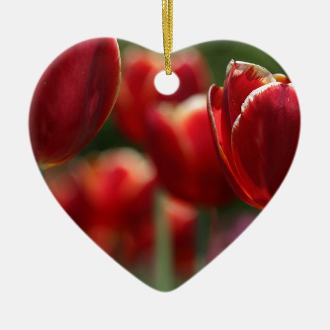 Tuliper Julgransprydnad Keramik (Framsidan)