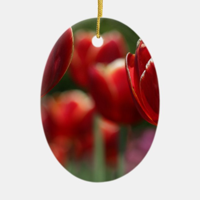 Tuliper Julgransprydnad Keramik (Framsidan)