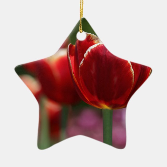 Tuliper Julgransprydnad Keramik (Framsidan)