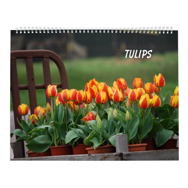 Tuliper Kalender (Omslag)