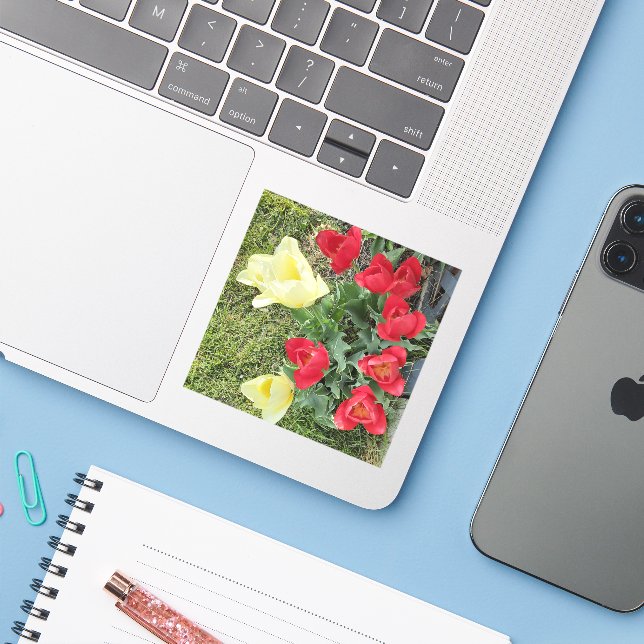 Tuliper Klistermärken (Laptop med iPhone)